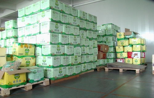 廣州食品倉(cāng)庫(kù)托管服務(wù) 龍森倉(cāng)儲(chǔ)的專業(yè)解決方案